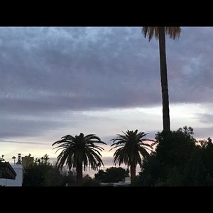 Meet your Posher, Dawn